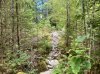 IMG_1449.jpeg