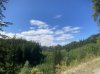 IMG_1453.jpeg
