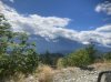 IMG_1458.jpeg