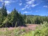 IMG_1460.jpeg