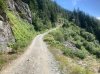 IMG_1469.jpeg