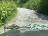 IMG_1474.jpeg