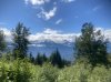 IMG_1482.jpeg