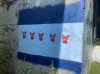 IMG_1485.jpeg