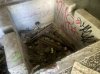 IMG_1497.jpeg