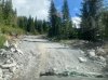 IMG_1503.jpeg