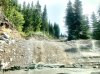 IMG_1505.jpeg