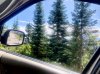 IMG_1515.jpeg