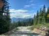 IMG_1528.jpeg