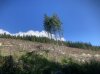 IMG_1533.jpeg