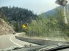 IMG_1635.jpeg