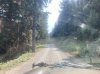 IMG_1644.jpeg
