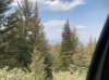 IMG_1649.jpeg