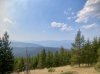 IMG_1653.jpeg