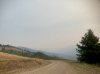 IMG_1659.jpeg