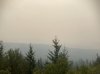 IMG_1677.jpeg