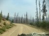 IMG_1688.jpeg