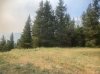 IMG_1661.jpeg