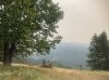 IMG_1665.jpeg