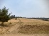 IMG_1660.jpeg