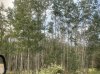IMG_1658.jpeg