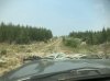 IMG_1707.jpeg