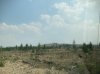 IMG_1709.jpeg
