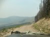 IMG_1716.jpeg