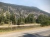 IMG_1732.jpeg