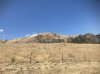 IMG_1739.jpeg