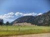 IMG_1745.jpeg
