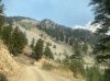 IMG_1753.jpeg