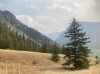 IMG_1767.jpeg