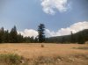 IMG_1774.jpeg