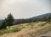 IMG_1778.jpeg
