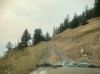 IMG_1787.jpeg