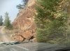 IMG_1792.jpeg