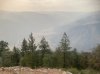 IMG_1793.jpeg