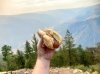 IMG_1809.jpeg