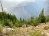 IMG_1813.jpeg