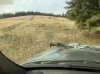 IMG_1816.jpeg