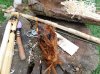 DSCN0071.JPG