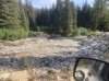 IMG_2396.jpeg