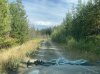 IMG_2411.jpeg