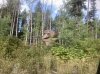 IMG_2425.jpeg