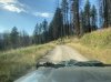 IMG_2429.jpeg