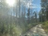 IMG_2430.jpeg