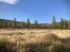 IMG_2436.jpeg
