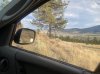 IMG_2438.jpeg