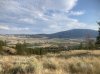 IMG_2445.jpeg